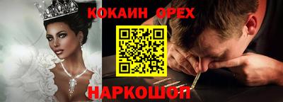 стаф Кингисепп