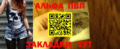 стаф Кингисепп