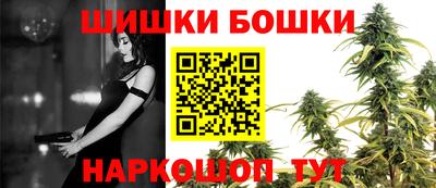 стаф Кингисепп