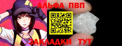 стаф Кингисепп