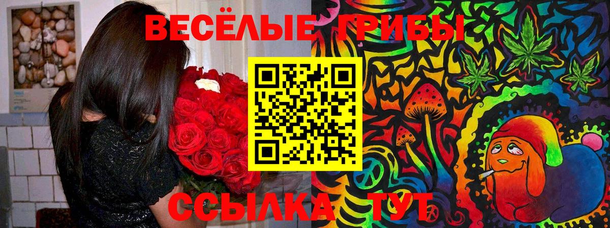 Галлюциногенные грибы ЛСД Краснознаменск