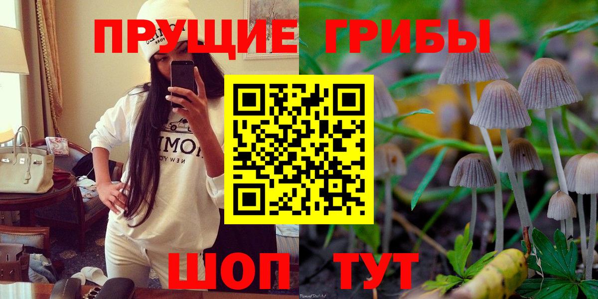 Краснознаменск  Псилоцибиновые грибы мухоморы  Вход с VPN 